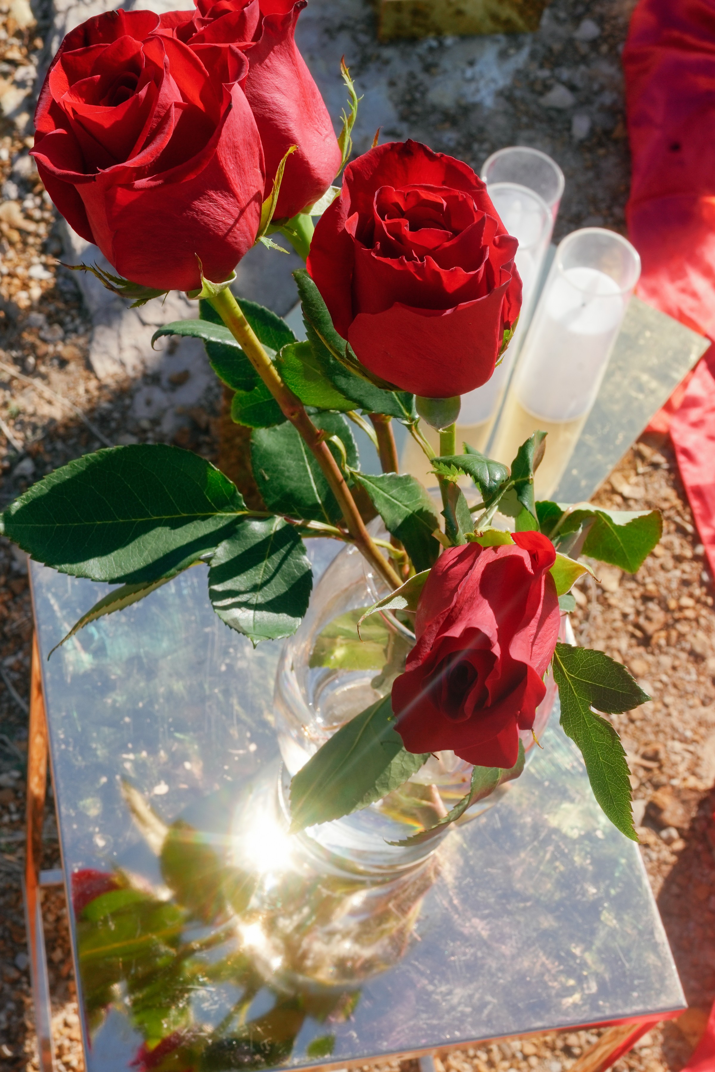 Proposals Past wedding photo 6 by 12img