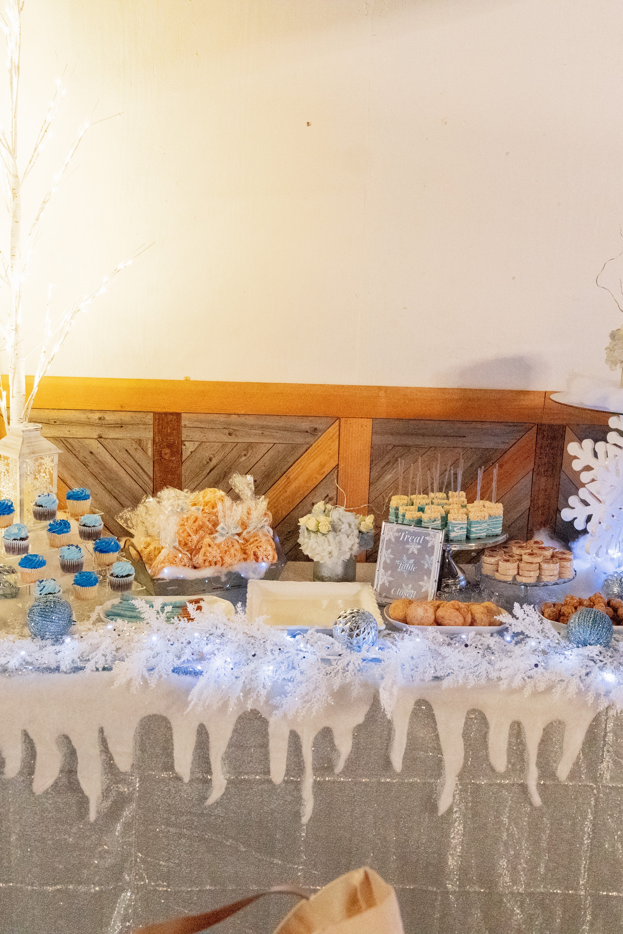 Jazlene QUince wedding photo 5 by 12img