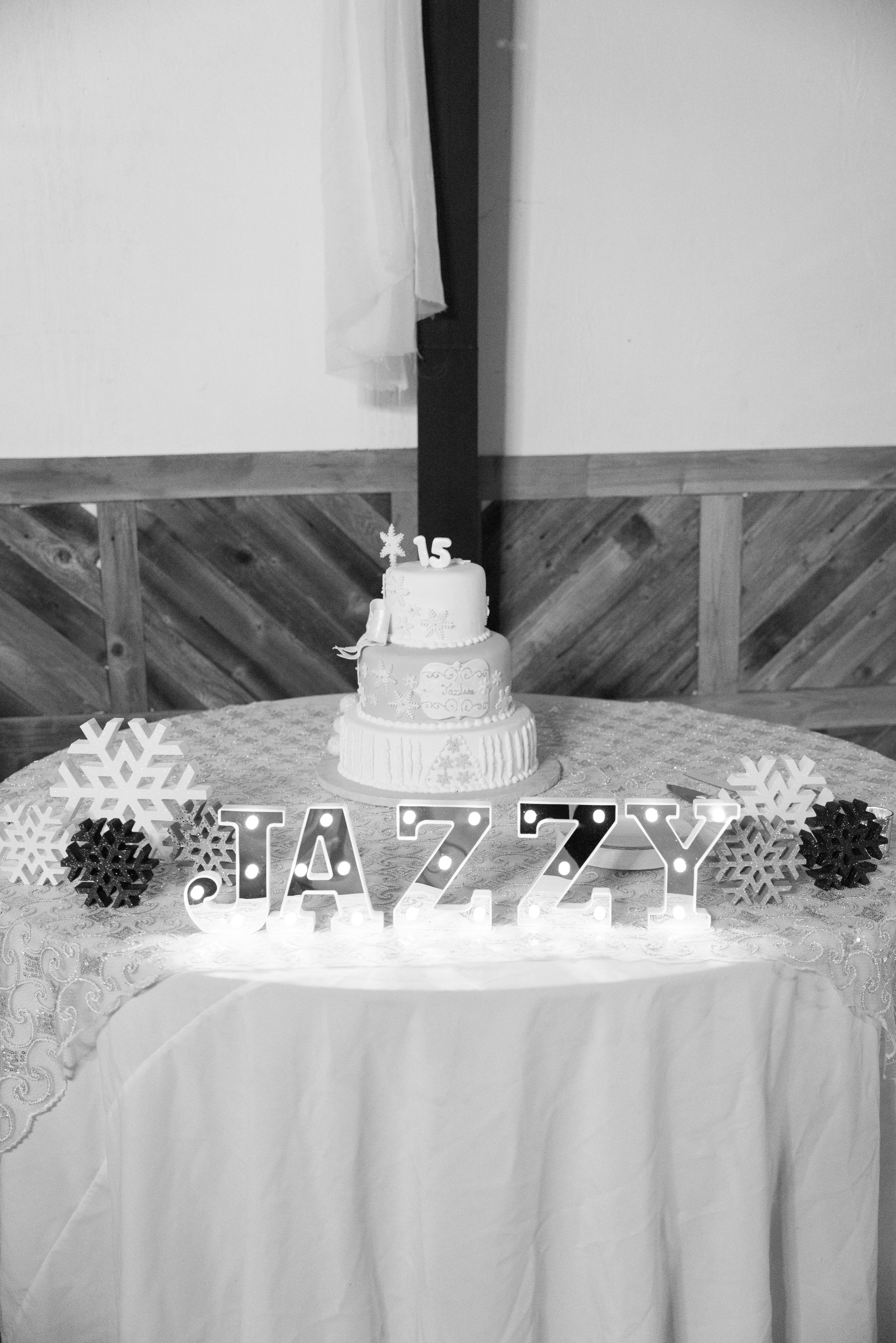Jazlene QUince wedding photo 4 by 12img