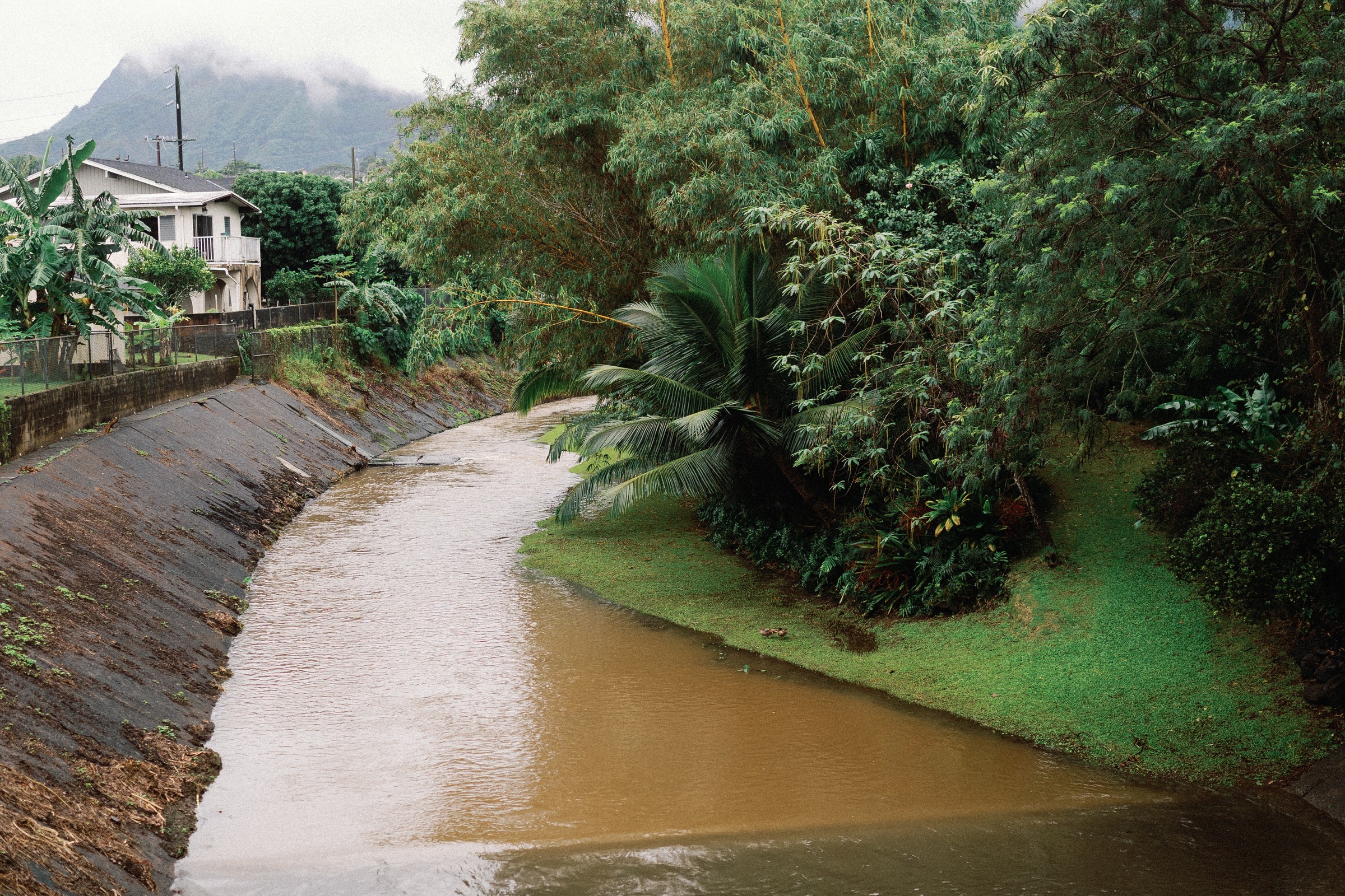 Hawaii events photo 6 by 12img