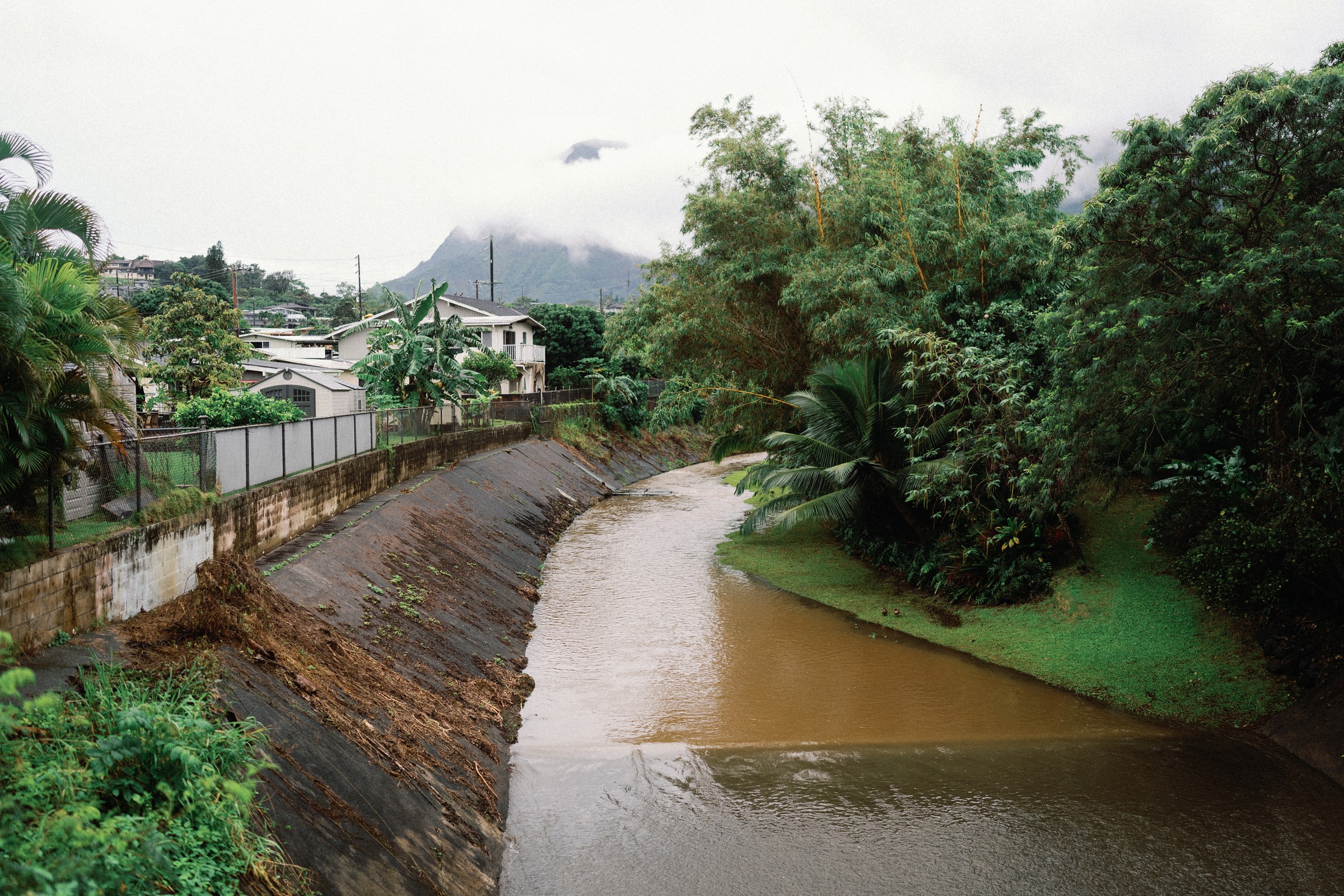 Hawaii events photo 5 by 12img